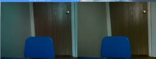 Capture and Preview ScreenShot