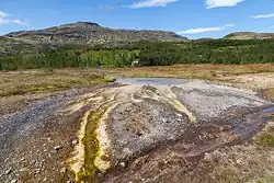 Geothermal area of Geysir