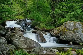 Upper course in Vitosha