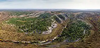 Chalk Flora Nature Reserve