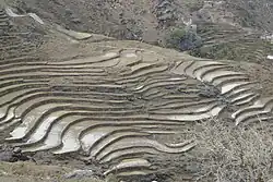 Terraced fields in Bani Al-Dhabibi, Al Jabin district