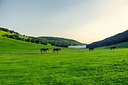 A lake 35km from the city of Ardabil