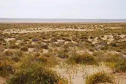 Gobi Desert, a cold desert