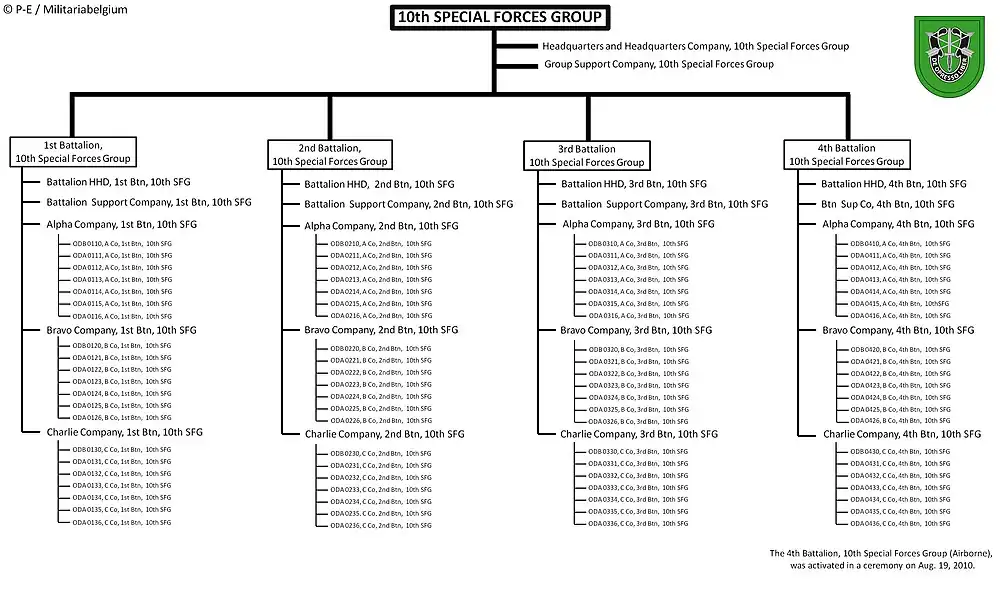Current structure of the 10th SFG (A)