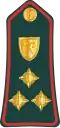 Brigadier general (Gambian National Army)