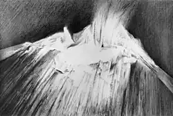 Study of fire (1988)