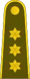 Kapitonas Lithuanian Land Force