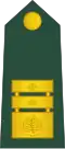 Generalmajor (Slovenian Ground Force)[63]