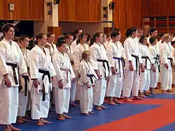 Image 51Karatekas at a dojo with different colored belts (from Karate)