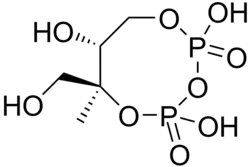 Skeletal formula of 2-C-methyl-D-erythritol-2,4-cyclodiphosphate