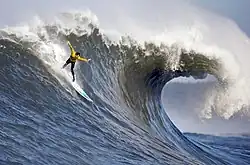 A surfer in the Pacific Ocean at the 2010 Mavericks competition, village of Princeton-by-the-Sea, northern California