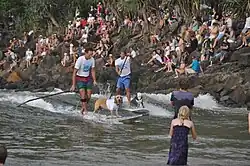 2013 Best Wave Award Winner Jonesy (front, colourful board shorts) and his dog Hugsley catch a wave next to Chris de Aboitiz (rear, blue board shorts) and his dog Lani
