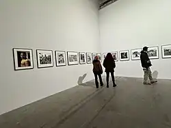 Interior of the Giardini exhibition space at the 60th Venice Biennale in 2024