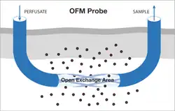 Schematic illustration of an OFM probe