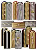 Civil braided shoulder straps, 1876-1885. Author:Sergei Popov