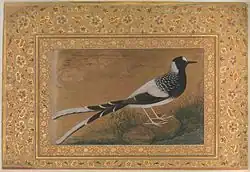 Spotted forktail by Abu al-Hasan (Mughal painter)