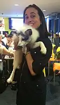Experimental Siberian fox visits a workshop
