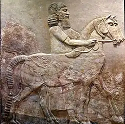 A pair of horses and an Assyrian groom, from Khorsabad, Iraq. Iraq Museum