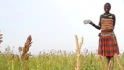A lady scaring birds in Moroto-Karamoja uganda.