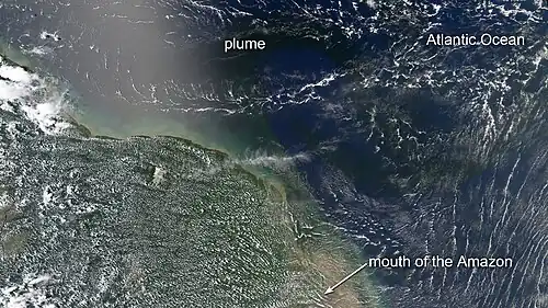 Blooms flourish in a dark plume of nutrient-rich water pouring from the mouth of the Amazon River, as seen by NASA's Aqua satellite.[16]