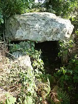 The allée couverte of La Roche aux Fées de la Brousse, in Plénée-Jugon