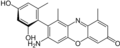 α-amino orcein