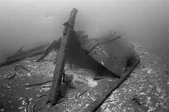America Shipwreck (Canaller)