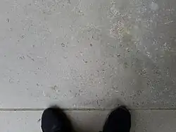 Americus Limestone: 100 year old Thompson Hall threshold, KSU.