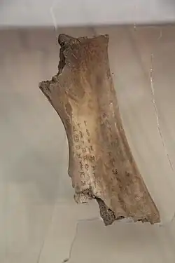 Ox scapula at Yinxu containing Shang script.