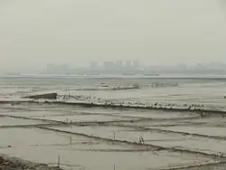Dongshi skyline seen from across the Anhai Bay