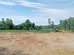 Bình Thanh Đông fields