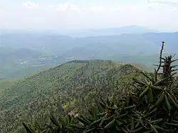 The South Toe Valley, viewed from the summit of Balsam Cone