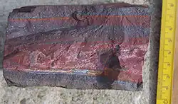 Image 29A banded iron formation from the 3.15 Ga Moodies Group, Barberton Greenstone Belt, South Africa. Red layers represent the times when oxygen was available; gray layers were formed in anoxic circumstances. (from History of Earth)