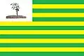 Flag of Brejo do Piauí