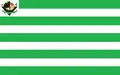 Flag of Castelândia