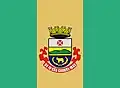 Flag of São Gabriel