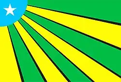 the proposed flag for the State of Carajas