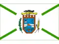 Flag of Dois Vizinhos