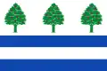 Flag of Requejo