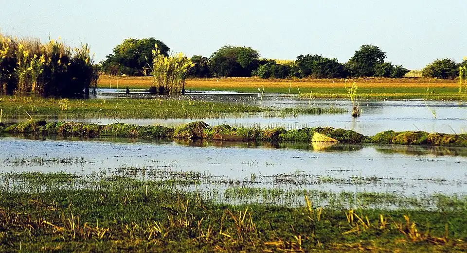 Bangweulu Wetlands