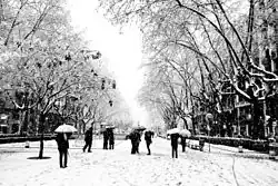 Pedestrians with umbrellas on snowy Barcelona street