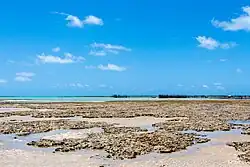 São Miguel dos Milagres Beach