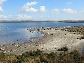 A sandy, rocky foreshore with water beyond, and an upland horizon