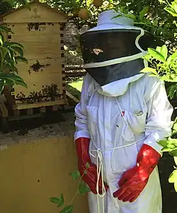 Beekeeper next to a Flow Hive