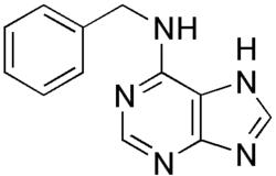 Skeletal formula of 6-benzylaminopurine