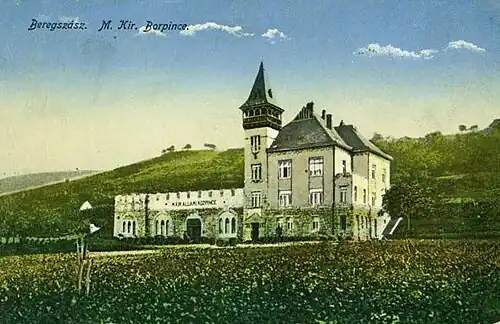 Schönborn palace (Berehove)