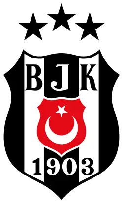 Beşiktaş Gain logo
