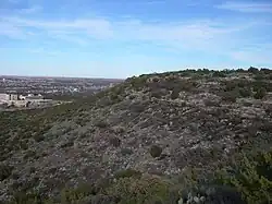 A photo of the escarpment in Big Spring State Park with the city in the background