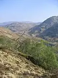 Birch woods above Prince Charlie's cave. Loch Lon a'Ghairt in background. The two paths marked on the map are not clear once over the col. The lower path leads across treacherous ground near the cave. Stay above the trees for an easier descent to the loch.