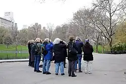 A small group facing away from camera, wearing winter jackets under gray skies looks through binoculars at a bird in a leafless tree.
